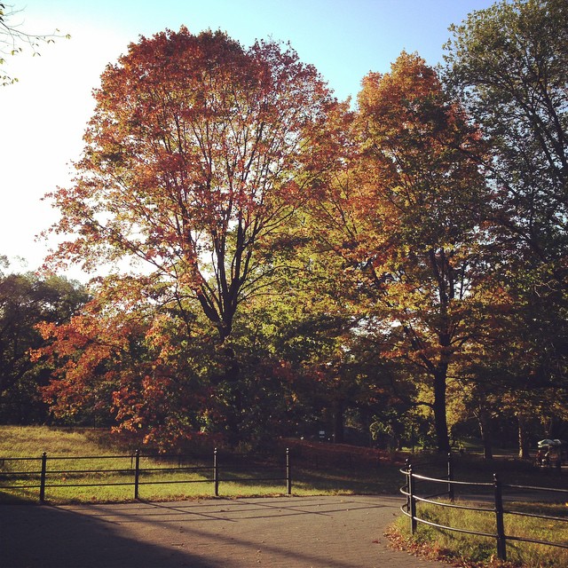 central-park-fall-autumn-2014-habituallychic-instagram