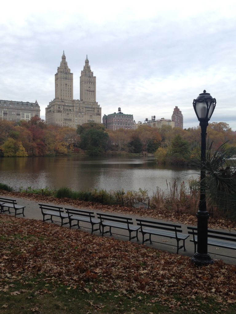 central-park-new-york-november-2014-habituallychic