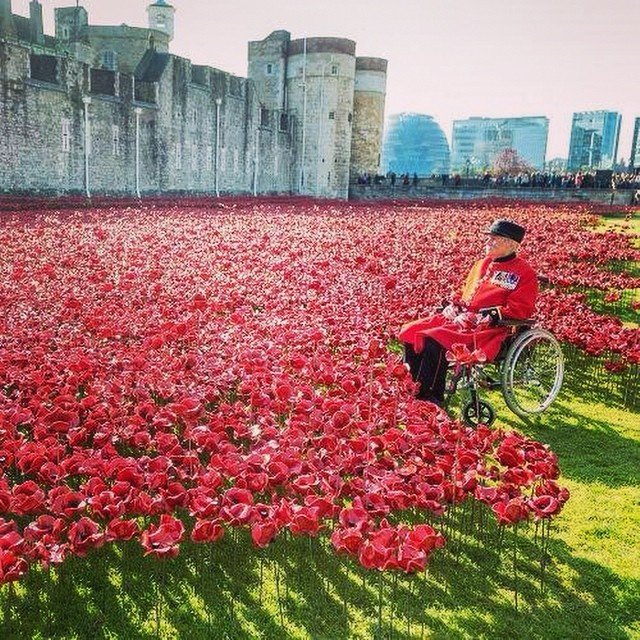 rememberence-day-london-tower-poppies-001