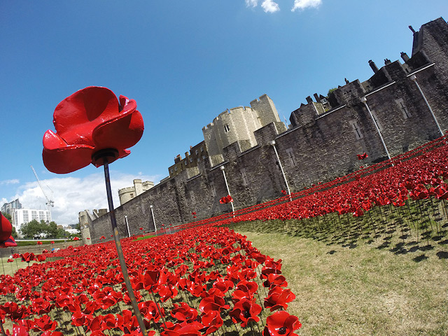 rememberence-day-london-tower-poppies-004