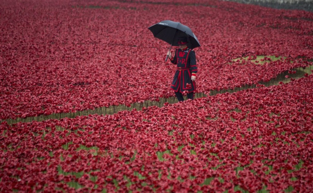 rememberence-day-london-tower-poppies-005