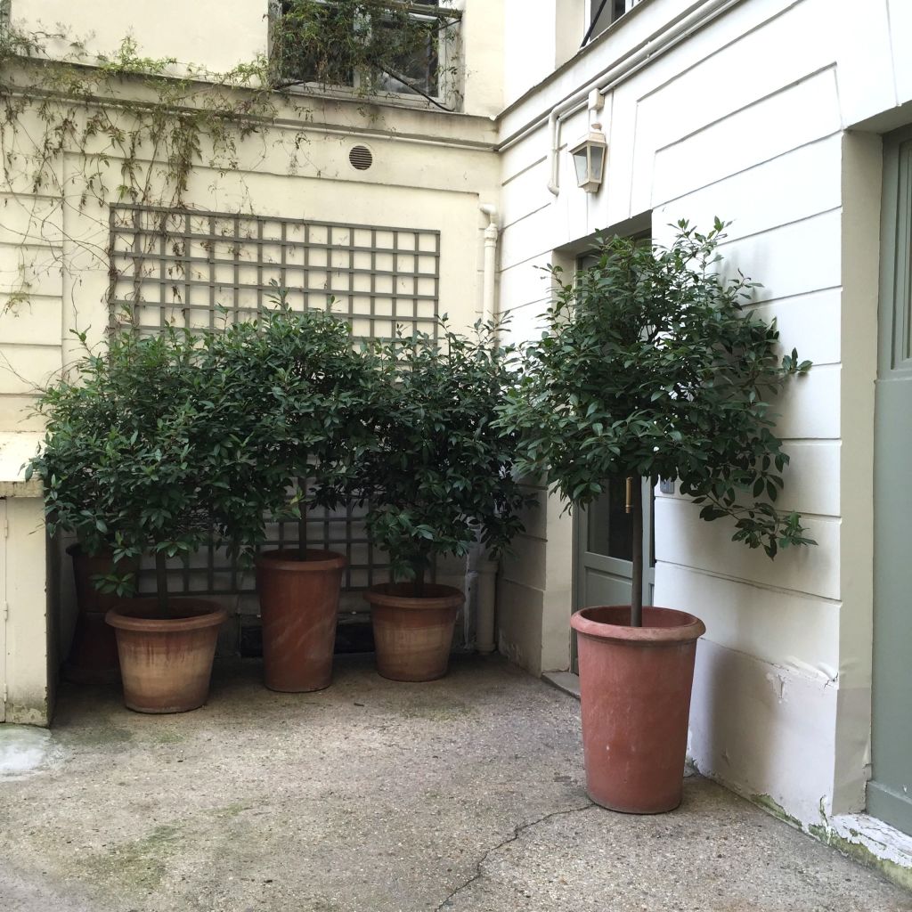 haven-in-paris-apartment-2015-habituallychic-027