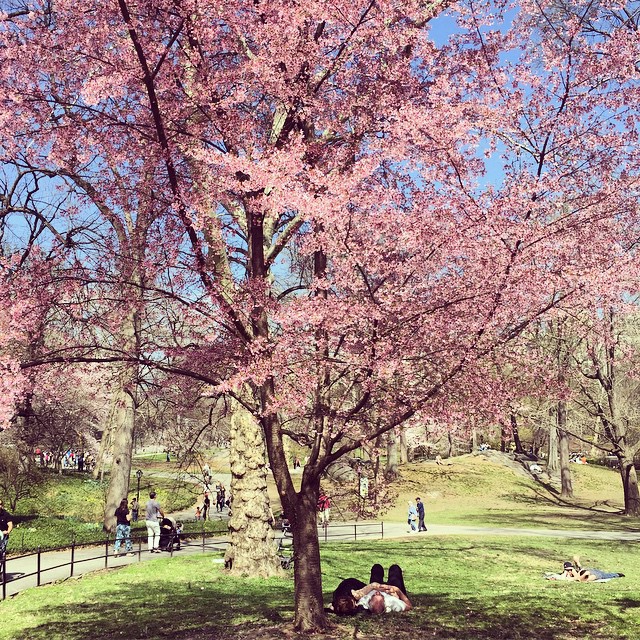 central-park-spring-2015-habitually-chic