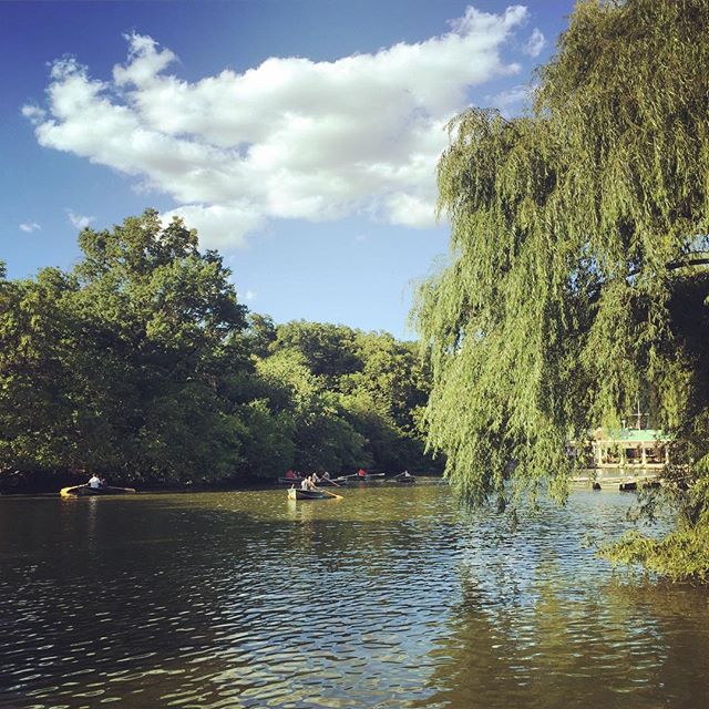 central-park-summer-august-2015-habituallychic